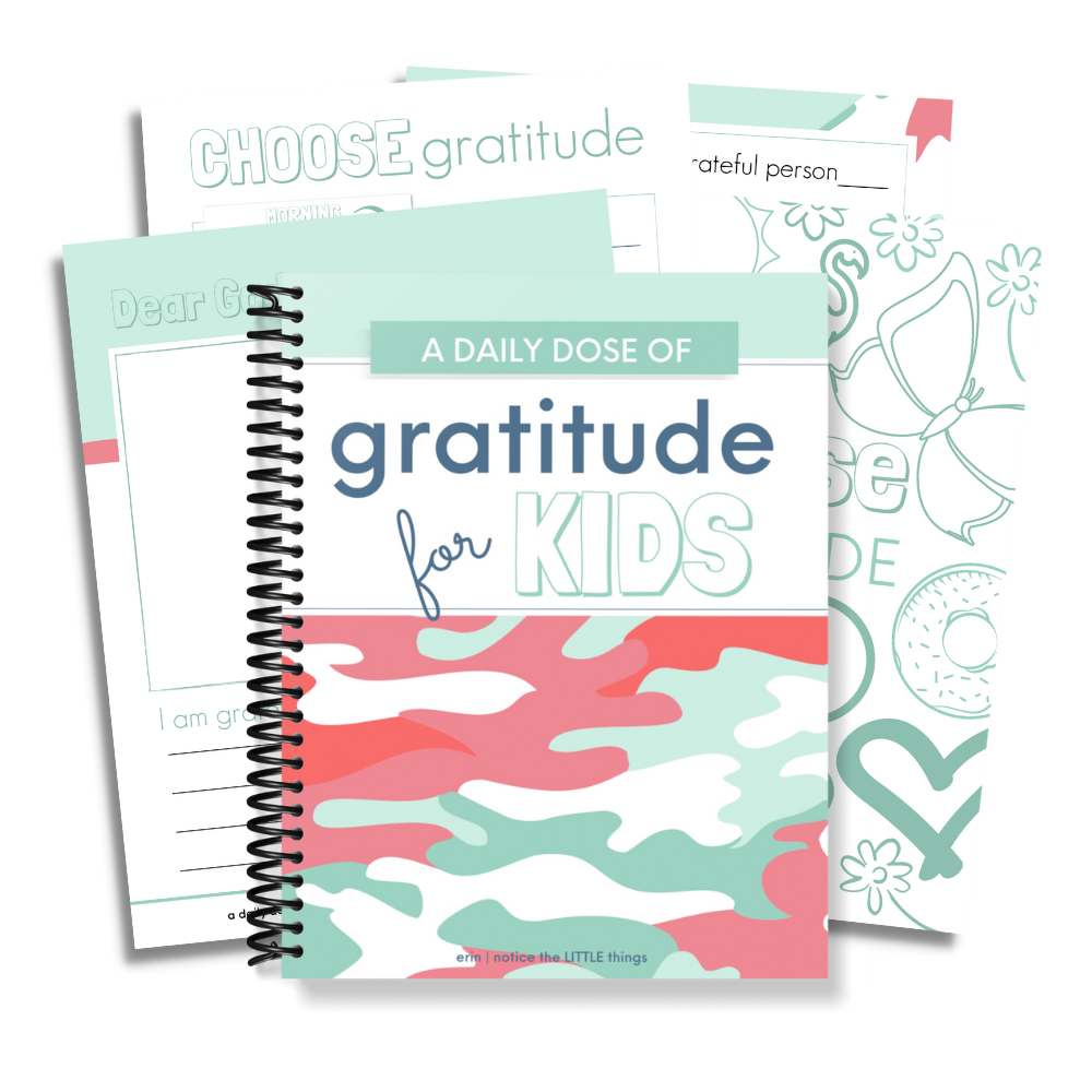 LITTLE Shop | A Daily Dose of Gratitude for Kids | Ages 6-12 Pink & Aqua Camo | Price $27