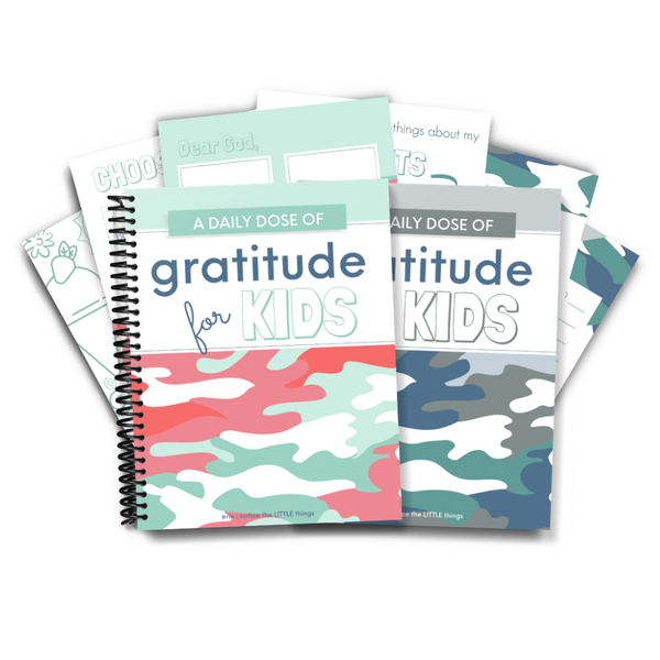 Lil Gratitude Journal