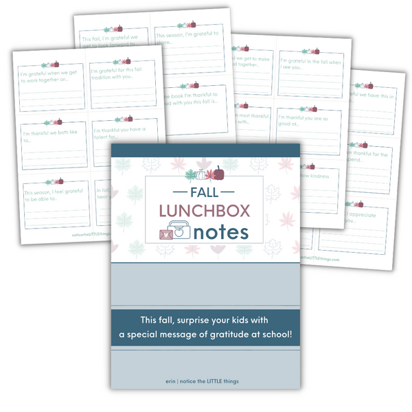 LITTLE SHOP | Seasonal Lunchbox Notes | Spring, Summer, Fall, Winter | Price $37