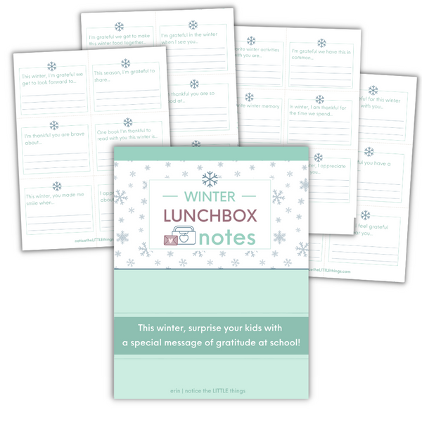 LITTLE SHOP | Seasonal Lunchbox Notes | Spring, Summer, Fall, Winter | Price $37